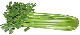 Organic Celery (grams)
