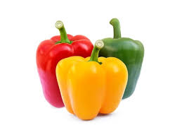 Bell Pepper “MUNDIAL” (UNIT)