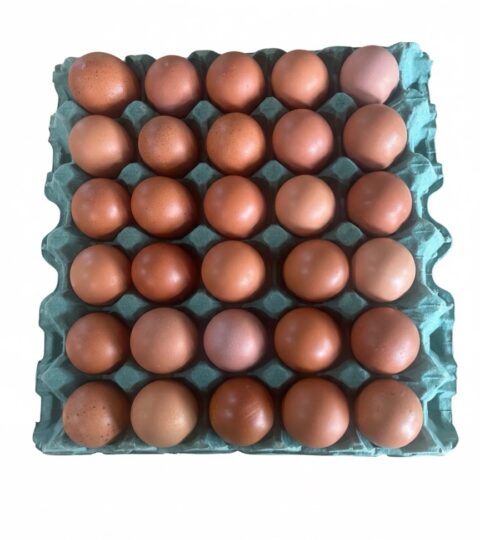 Organic Eggs-FREE RANGE EGGS (unit)..Our Provider Grows The Chickens From Babies , Uses No Pesti…