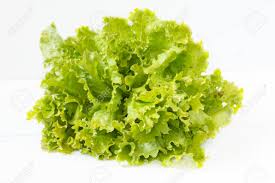 Organic Frezze Lettuce..Green Leaf (unit)