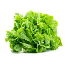 Organic Butter Lettuce (unit)