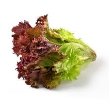 Organic Red Oak Lettuce(unit)