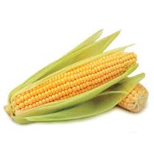 Organic Yellow Sweet Corn (unit)