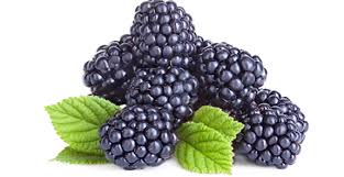 Organically Grown Blackberry (bag)