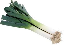 Organic Leek(bunch)