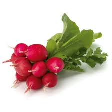 Organic Radish (bunch)