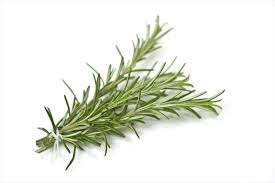 Organic Rosemary (bunch)..