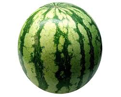 Organic Watermelon (GRAMS)..