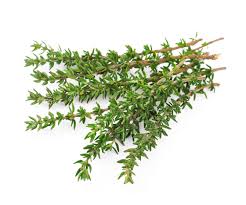Organic Thyme (bunch)..