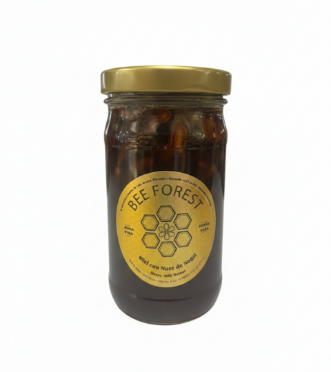 Honey With Walnut-BEE FOREST 260g