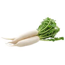Organic Turnip*NABO*DAIKON* (unit)