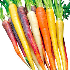Organic RAINBOW Carrot (Grams)