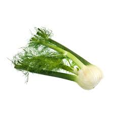 Organic FENNEL (unit)
