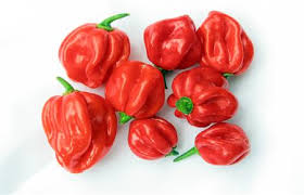 Panamanian Pepper (unit)