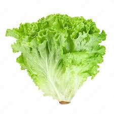 Organic American Lettuce (head/unit)
