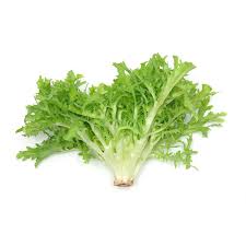 Organic Escarole Lettuce Unit/head