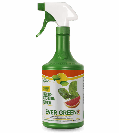 Organic Fungicide & Bactericide*EVER GREEN 1L