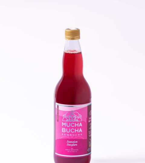 Crafted Sparkling Kombucha*GINGER JAMAICA*Mucha Bucha Kombucha 750ml