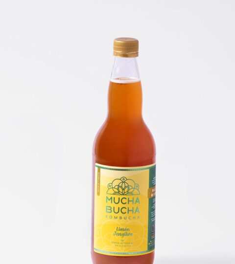 Crafted Sparkling Kombucha*GINGER LEMON*Mucha Bucha Kombucha 750ml