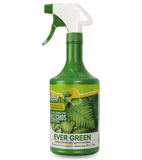 Organic Fertilizer For Ferns And Green Plants*100% ORGANIC*EVER GREEN 1L