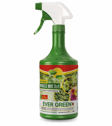 Miracle Mix 3×1*EVER GREEN 1L