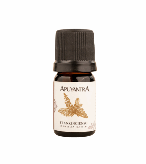 Frankincense Incense Essential Oil..Apuyantra 5ml..