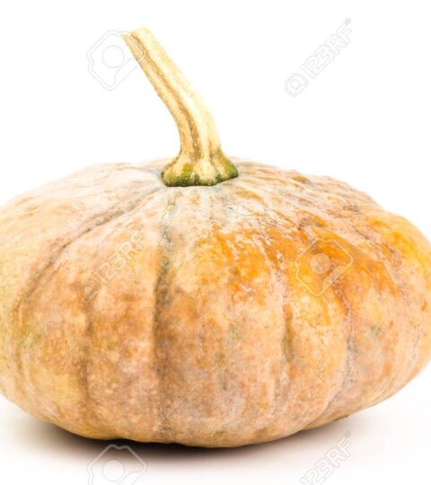 Organic Pumpkin (kilo)
